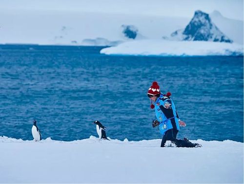 南极之恋在南极拍摄了多久？南极之恋电影的拍摄场所在哪里