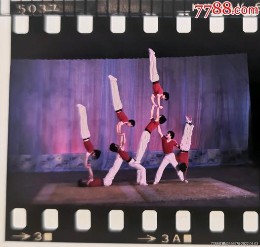 1963年杂技切砖是谁表演的？上海杂技表演在哪里看