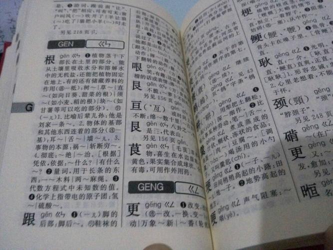 新华字典上为什么有的字查不到？为什么有字呢