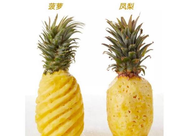 像菠萝的水果但不是菠萝？为什么不是凤梨呢