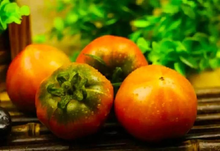 柿子的生活结构特征？盐碱柿子为什么好吃呢