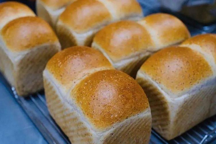 面包发苦是怎么回事？为什么面包会酸味呢